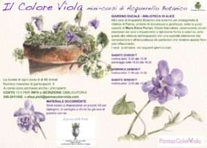 Il Posto delle Viole - Accademia del Profumo