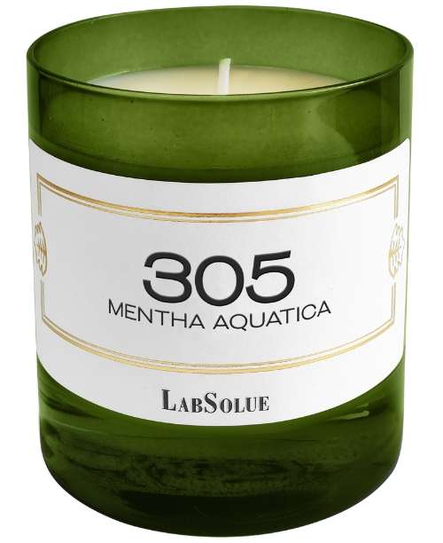 LabSolue 305 Mentha Aquatica - Accademia del profumo
