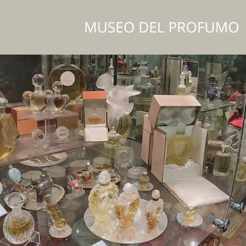MILANO </br>IL PROFUMO AL MUSEO - Accademia del Profumo